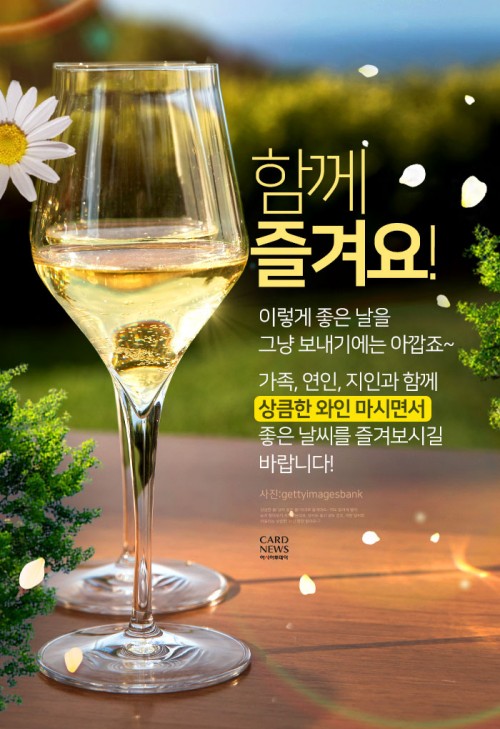 카드 뉴스 이미지