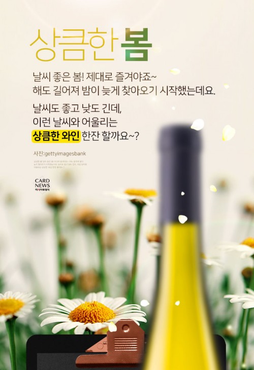 카드 뉴스 이미지