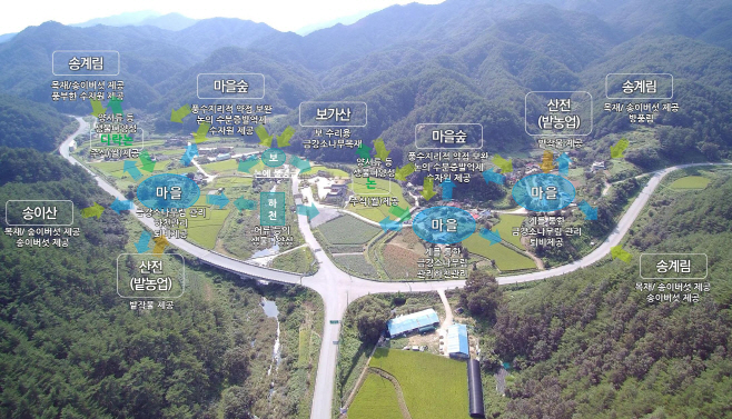 울진만의 혼농임업시스템