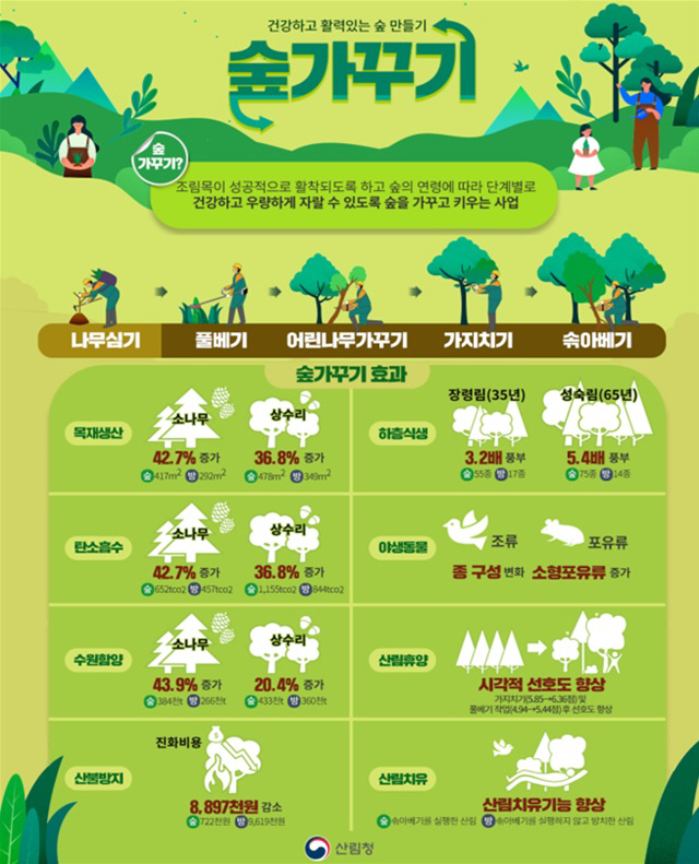 충남 기후위기 대응 ‘건강한 숲’ 조성 박차