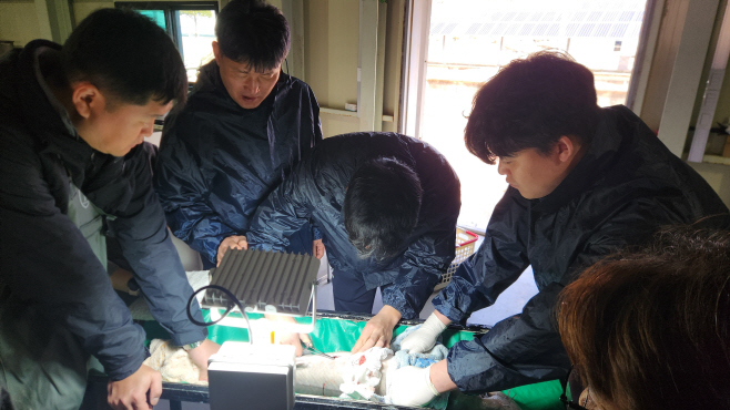 충남 새바람 부는 철갑상어 양식 ‘앞장’