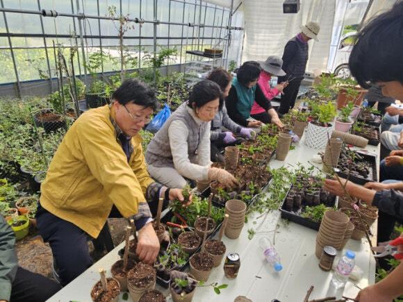 2. 진도군농업기술센터, 꽃피는 진도 화훼연구회 수목 삽목 기술교육·현장 컨설팅 (2)