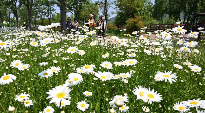 [거창군]25.5.14