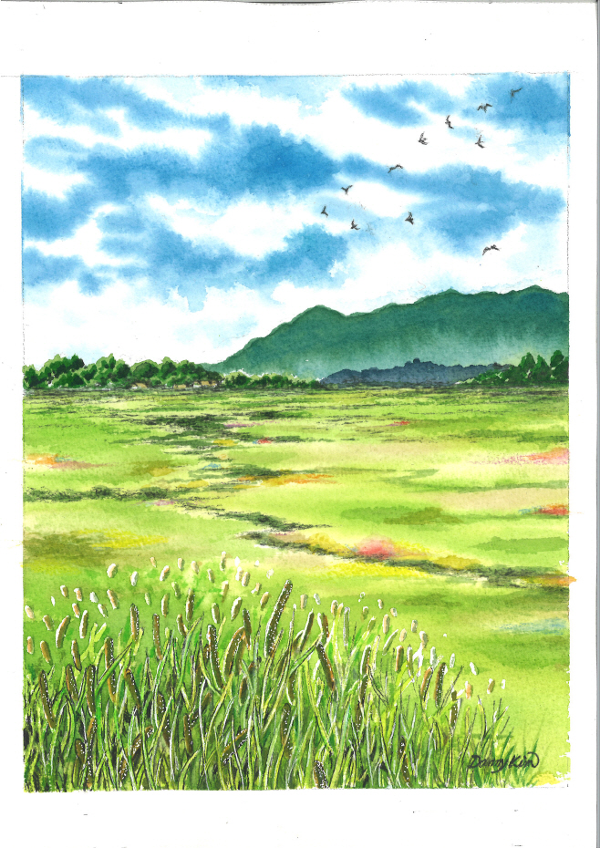 (37) 뚝새풀 그림