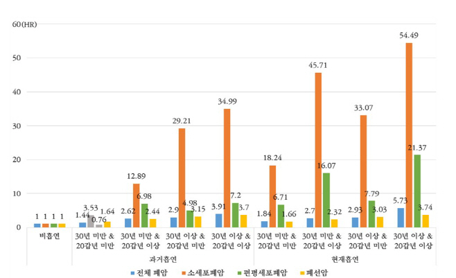 화면 캡처 2025-05-18 101546