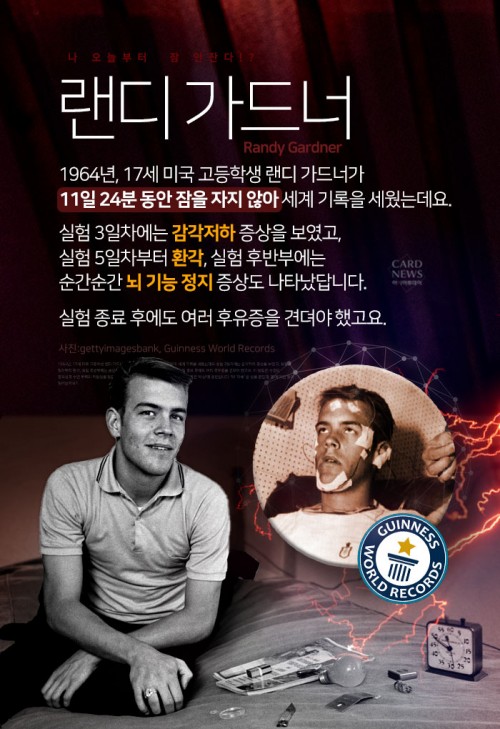 카드 뉴스 이미지