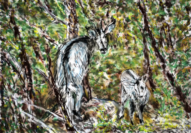 전시작품이미지