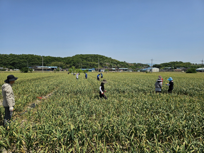 일손돕기(3)