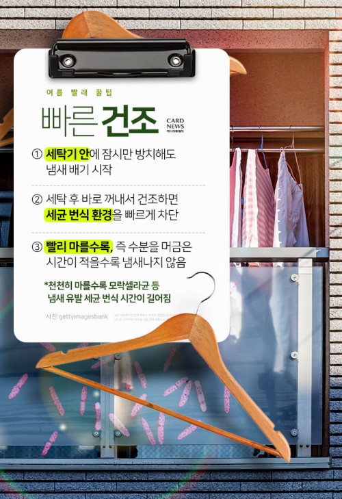 카드 뉴스 이미지