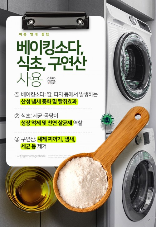 카드 뉴스 이미지