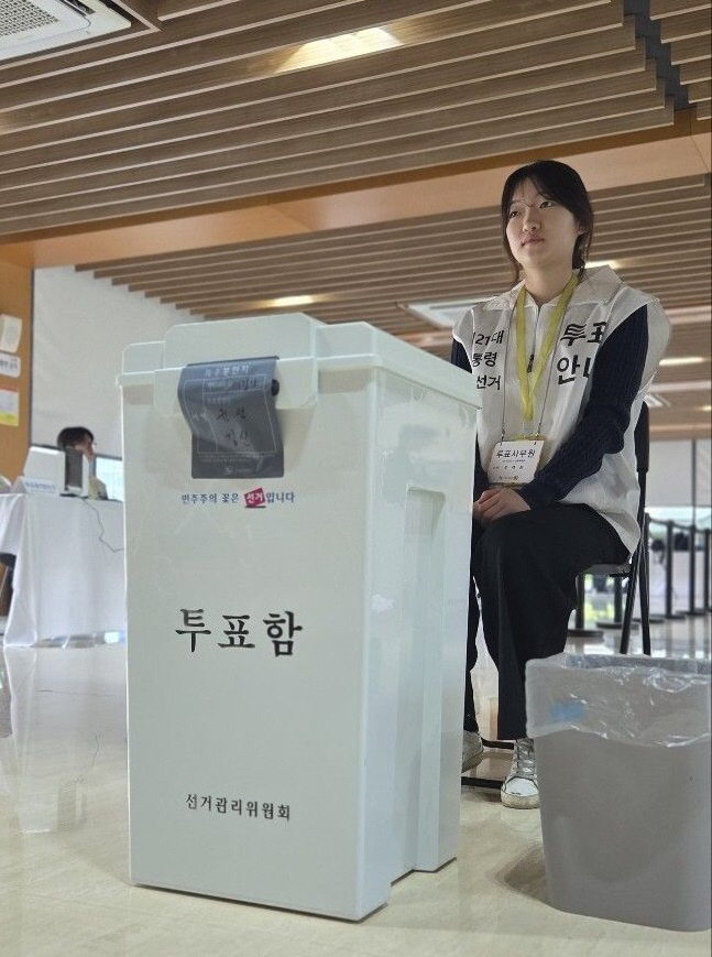투표