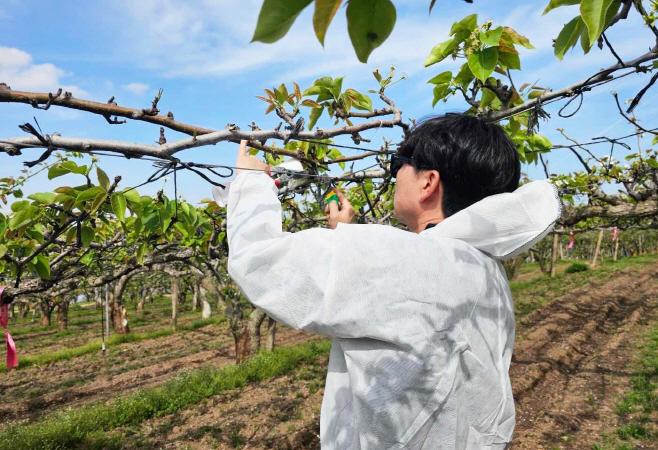 전남농기원