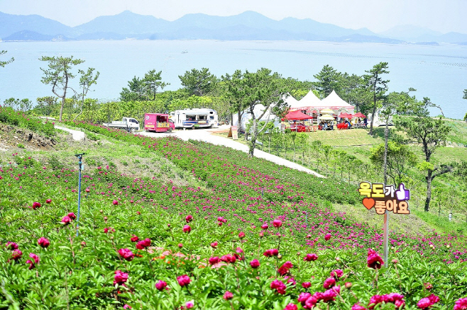 신안군
