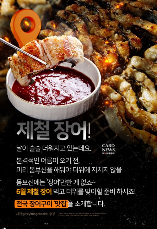 카드 뉴스 이미지