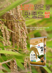 소양강쌀 사진