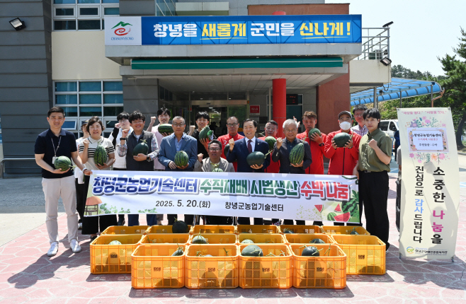 창녕군농업기술센터 수직재배 시범생산 수박 나눔2