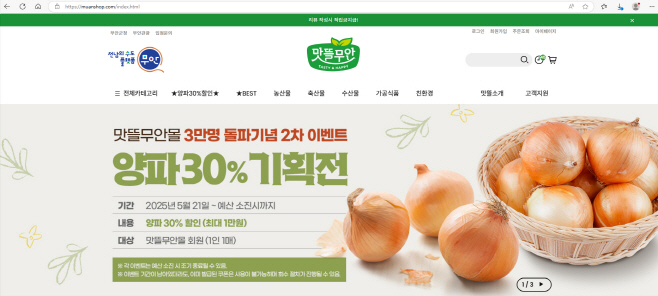 무안군