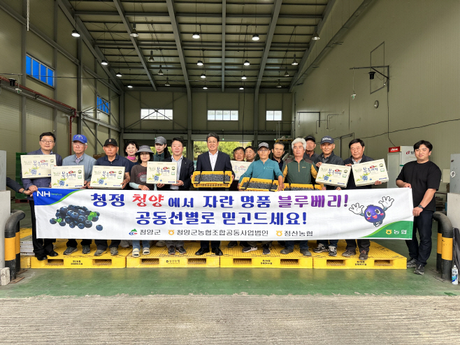 1. 청정 청양에서