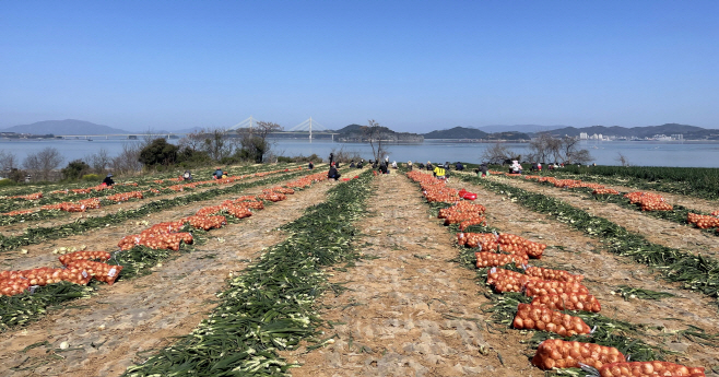 전남도