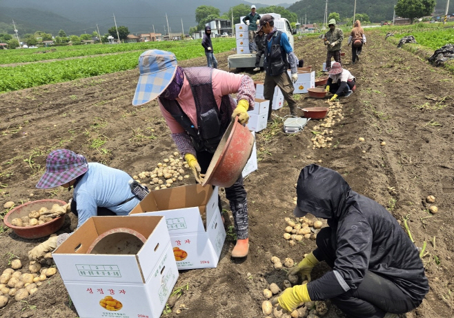보성군