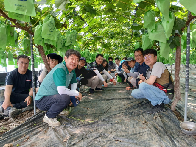 김천시 산림녹지과·산림조합 ‘합심’ 농촌 일손 돕기