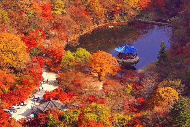 내장산