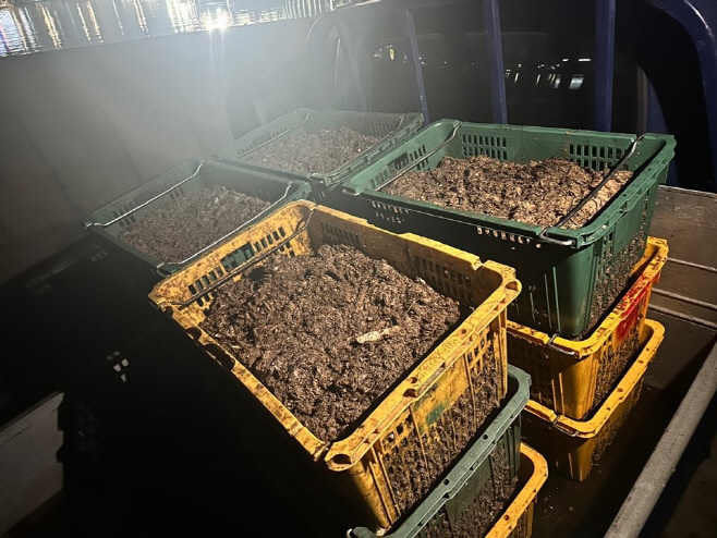 비응항 내에서 멸치젓찌꺼기 약 300kg 불법 투기한 현장 적발
