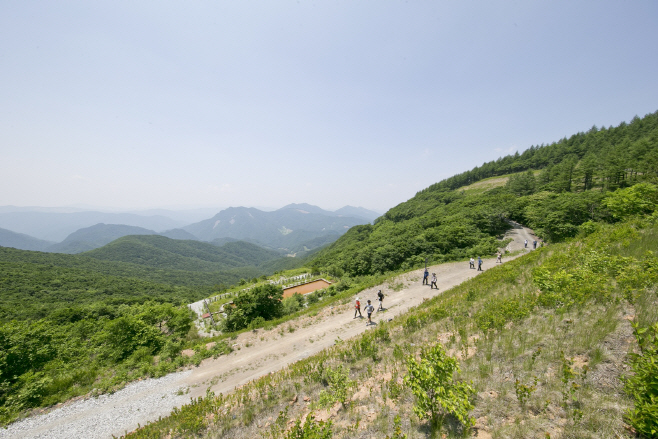 강원랜드, 하늘길 트레킹 전경사진002