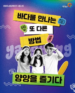 서프시티_양양군