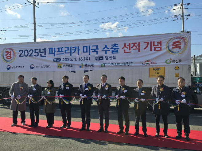 전남도