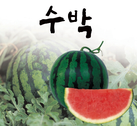 수박
