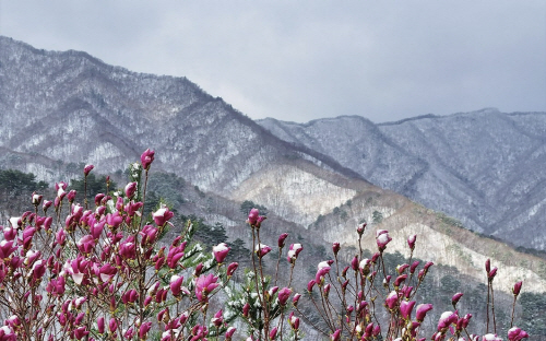 asdfa-연합