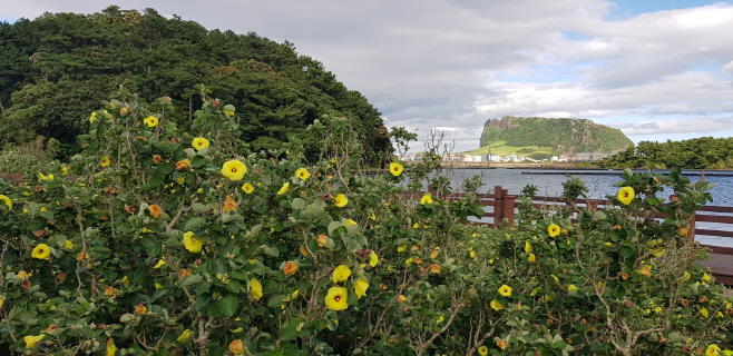 오조리