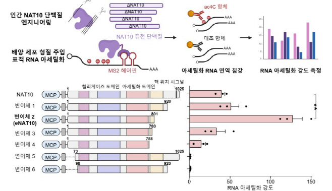 화면 캡처 2025-06-10 160502