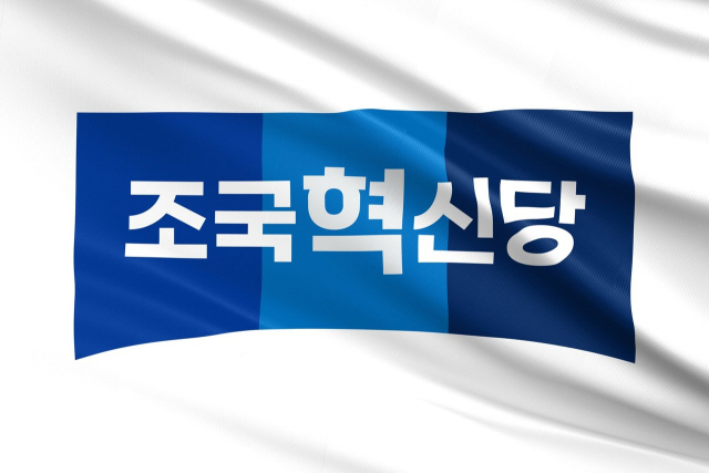 조국혁신당 ci