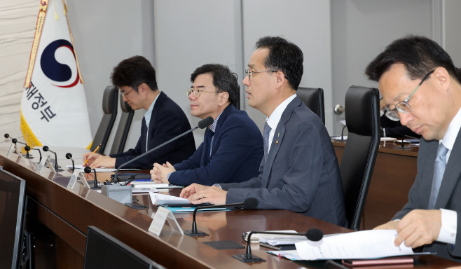 물가관계차관회의 주재하는 이형일 기재부 1차관<YONHAP NO-5556>