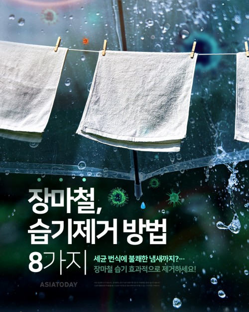 카드 뉴스 이미지