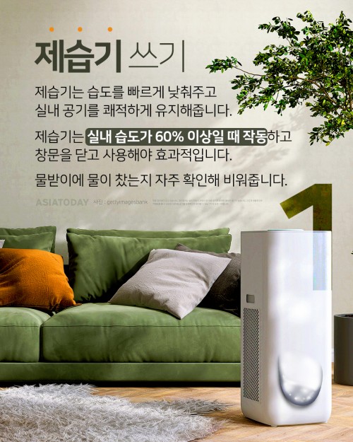 카드 뉴스 이미지