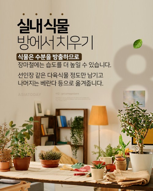 카드 뉴스 이미지