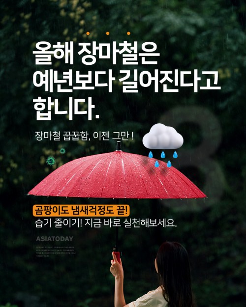카드 뉴스 이미지