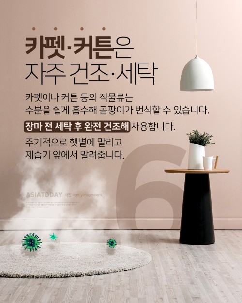 카드 뉴스 이미지