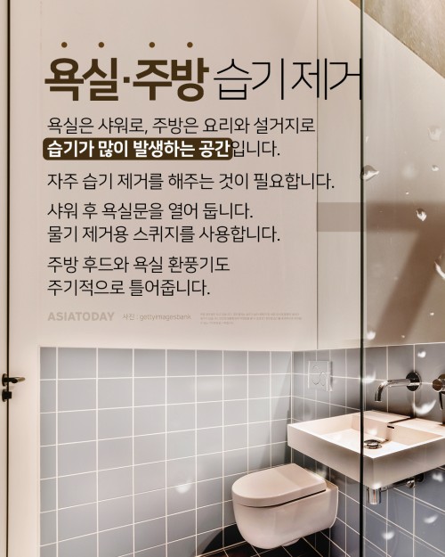 카드 뉴스 이미지