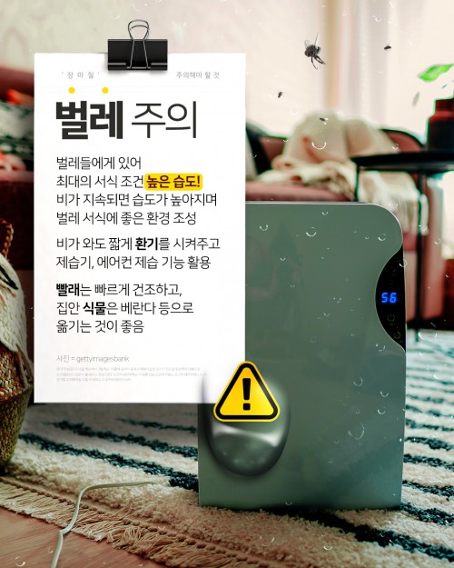 카드 뉴스 이미지