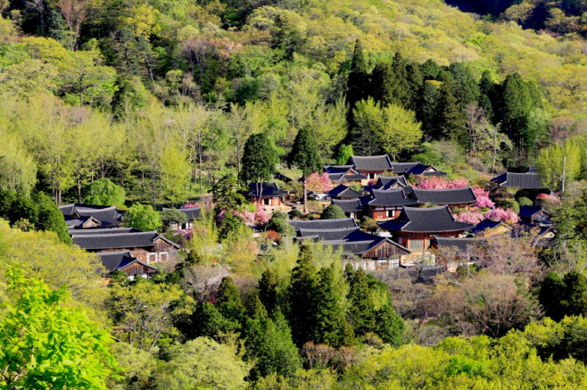 선암사 전경