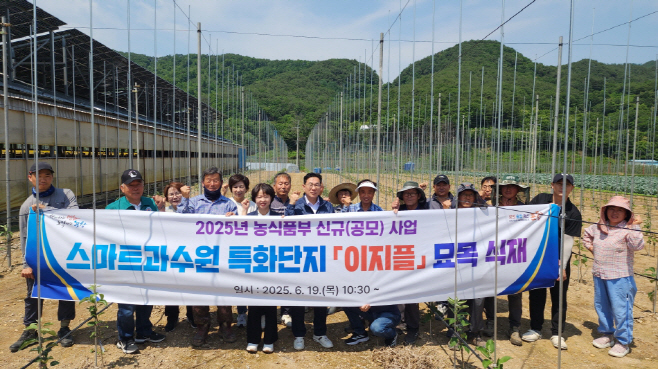 250619 포항시, 스마트과수원 특화단지에 ‘이지플 사과나무’