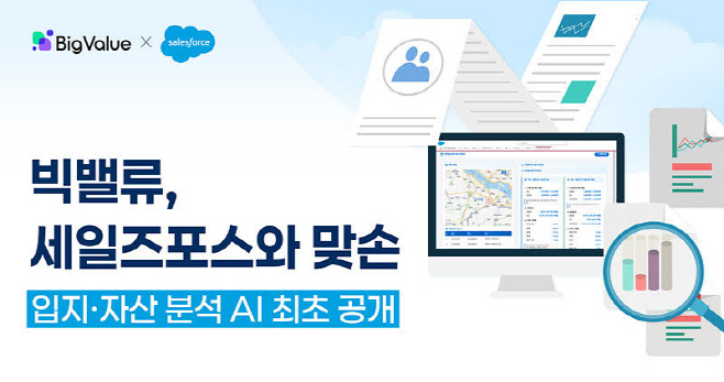 빅밸류