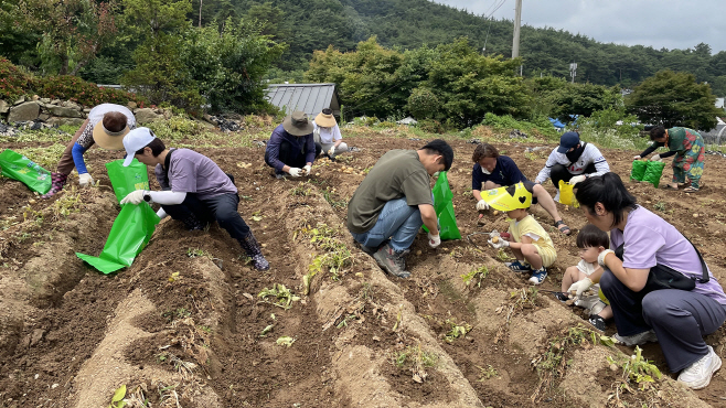 서산 팔봉산 감자축제 21~22일 열려