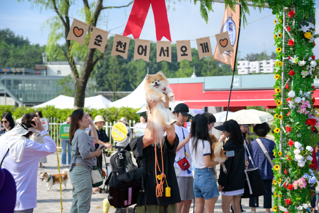 펫데이 이벤트