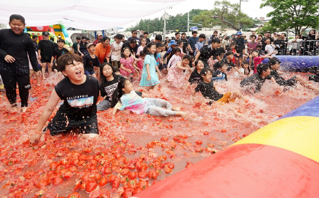 제23회 퇴촌토마토거리축제 3일간 30만명 방문