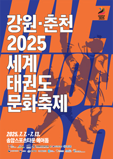 강원춘천세계태권도문화축제 홍보포스터